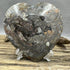 Ammonite and Fossils Heart Plate specimens
